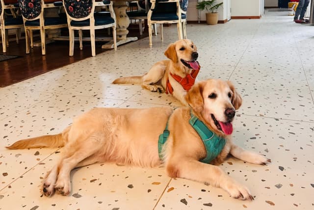 Vacasa | 5-BHK | Pvt Pool & Lift | Pet-friendly, 4