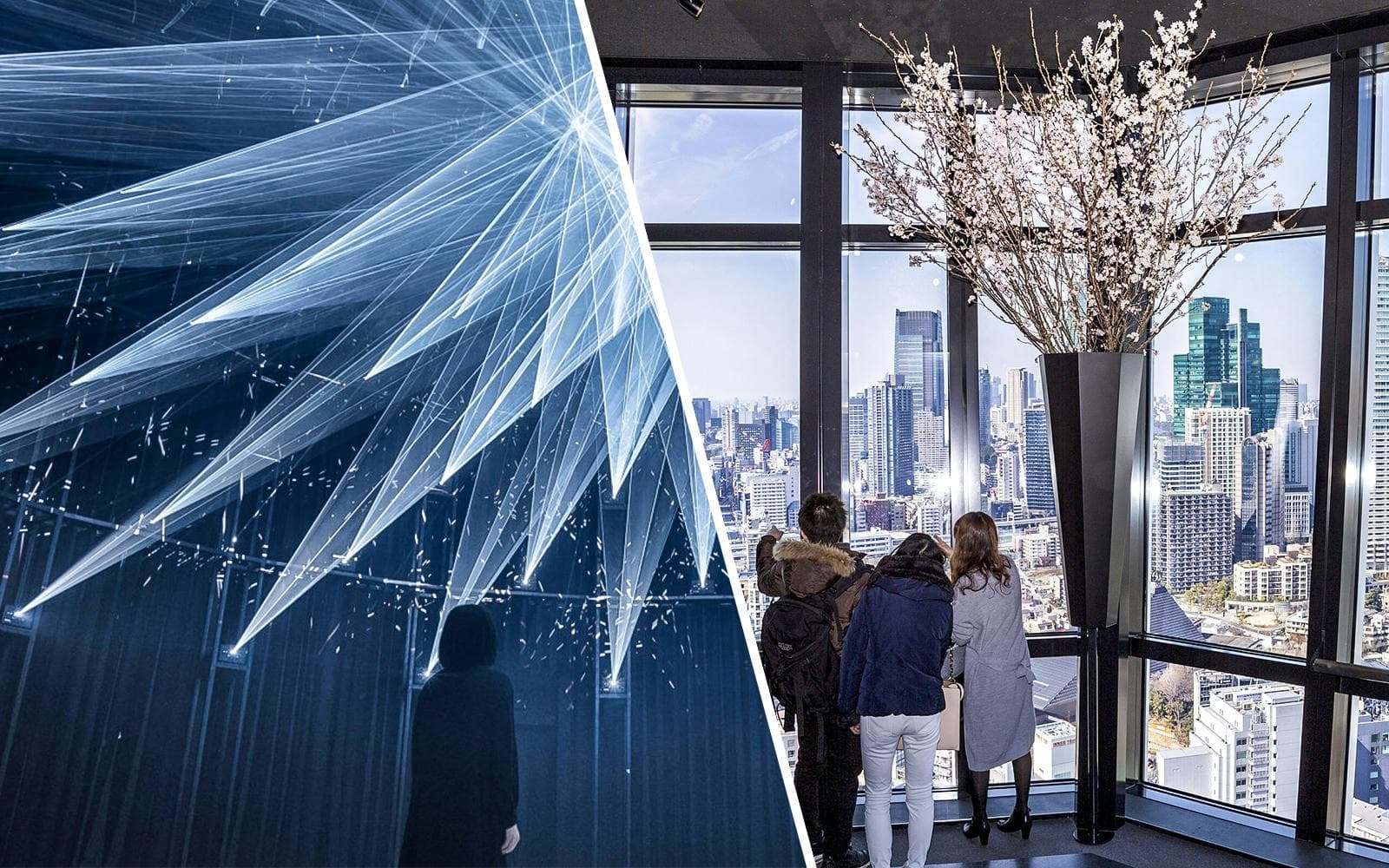 Combo (Save 7.5%): teamLab Planets TOKYO + Tokyo Tower Main Deck Tickets