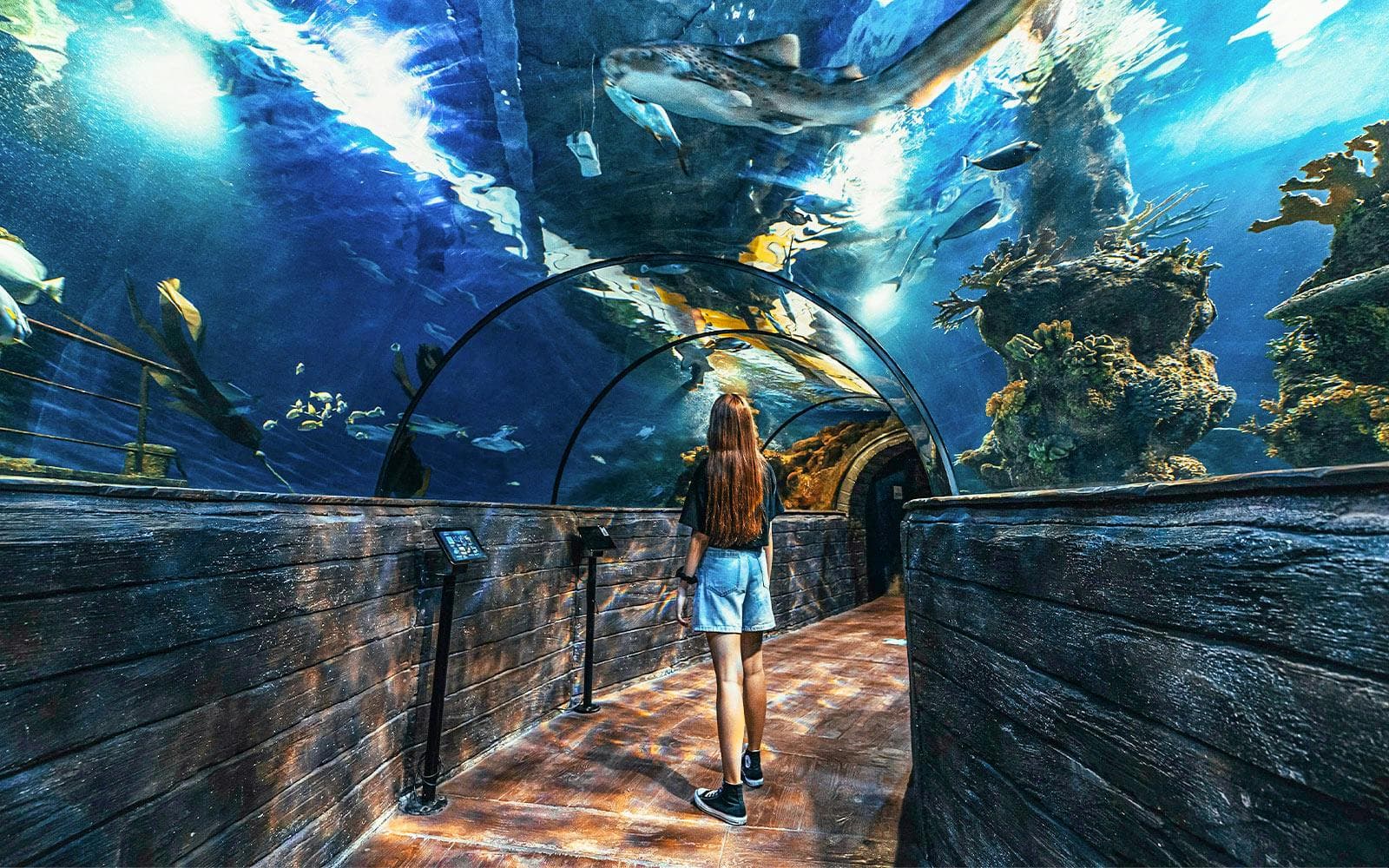 Gallery 2