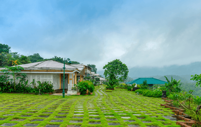 Junglebrooke Premium | Suite Room Pet-Friendly Cottage, Swimming Pool, Forest View, In-House Restaurant & Landscaped Lawn, 3