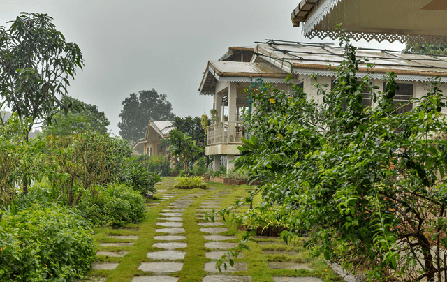 Junglebrooke | 8 Room Pet-Friendly Cottage Estate With Swimming Pool, Forest View, In-House Restaurant & Landscaped Lawn, 2