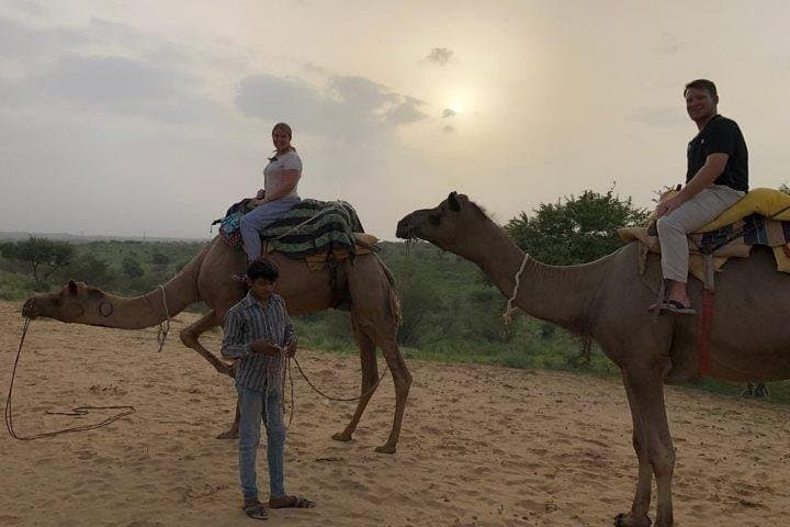 Camel Safari Half -Day Tour In Jaisalmer