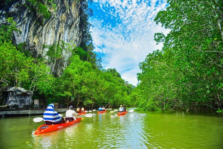 Half Day Bor Thor Mangrove Kayaking Tour from Krabi