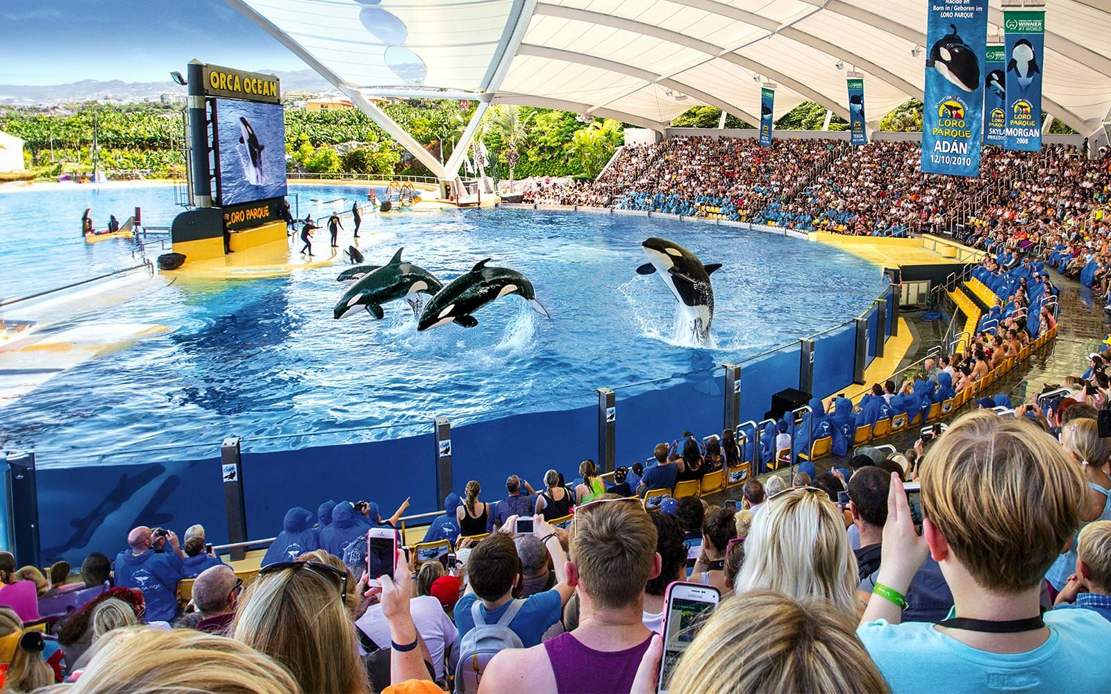Loro Parque Entry Tickets