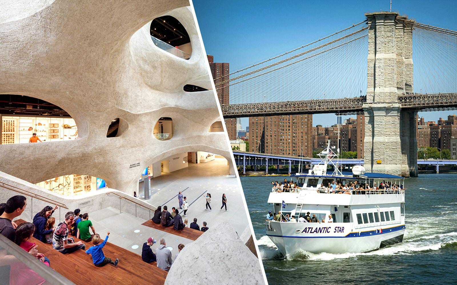Combo: American Museum of Natural History + 90-Min NYC Downtown Sightseeing Cruise