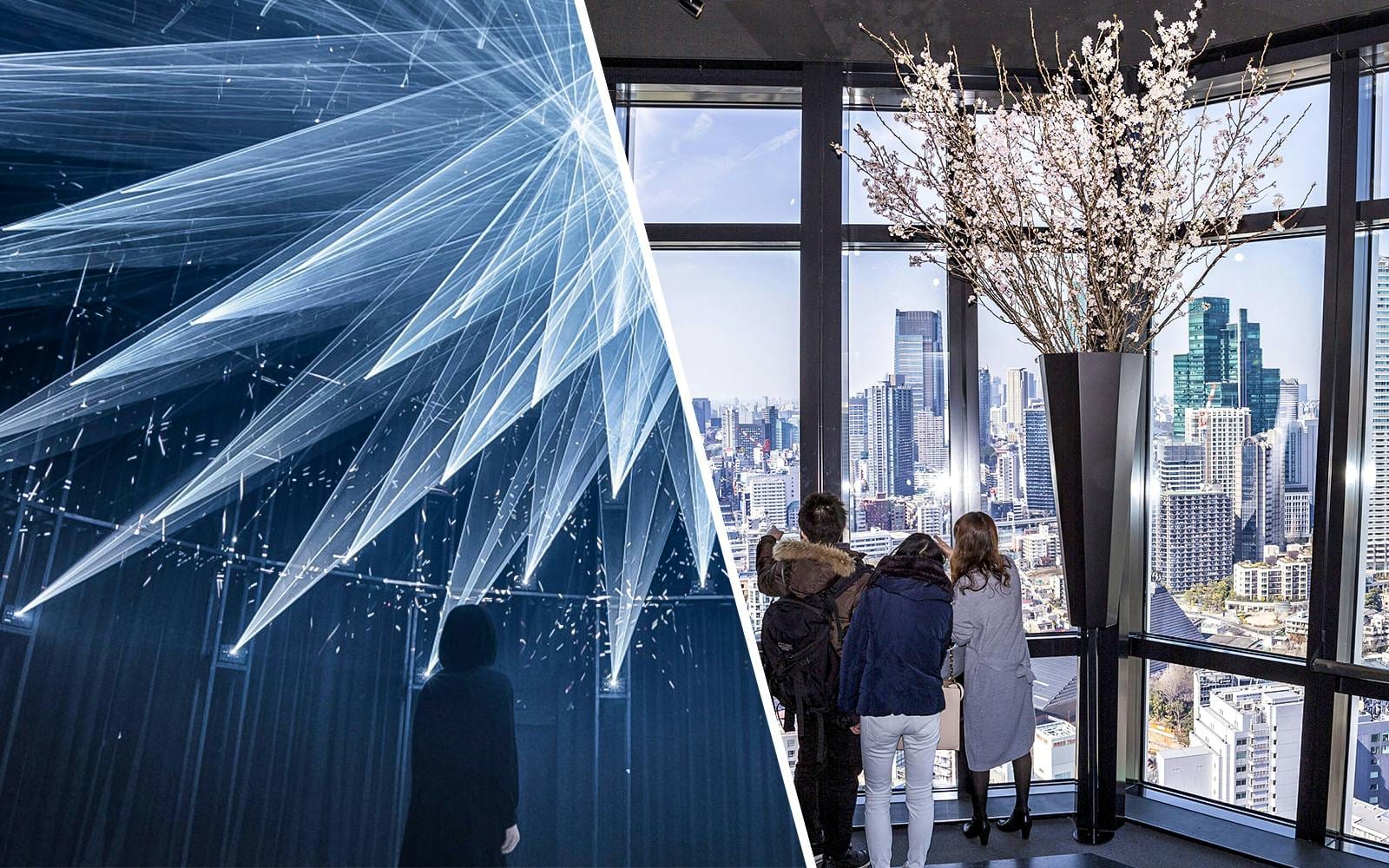 Combo (Save 7.5%): teamLab Planets TOKYO + Tokyo Tower Main Deck Tickets