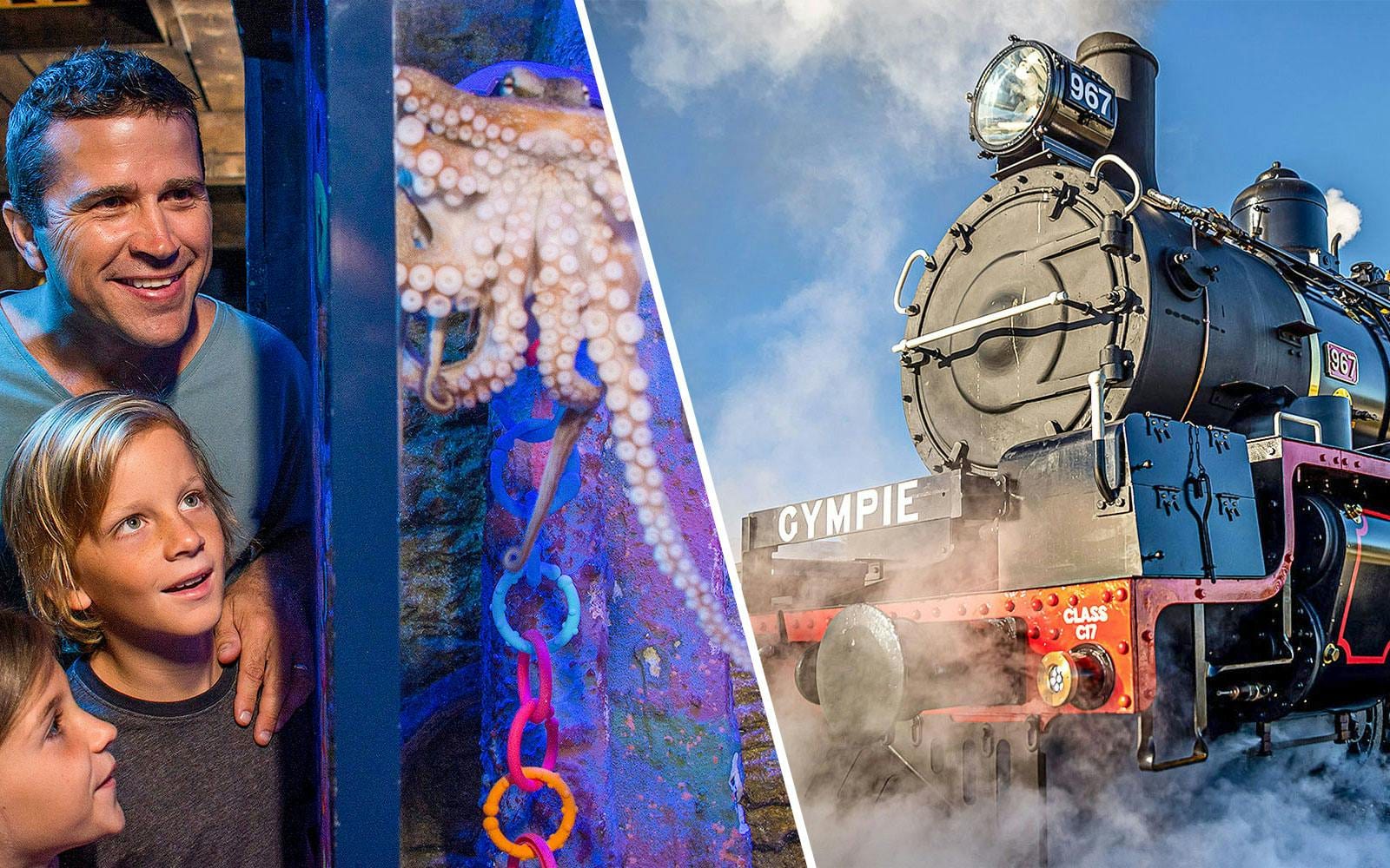 Combo: SEA LIFE Sunshine Coast + Mary Valley Rattler Train Tickets