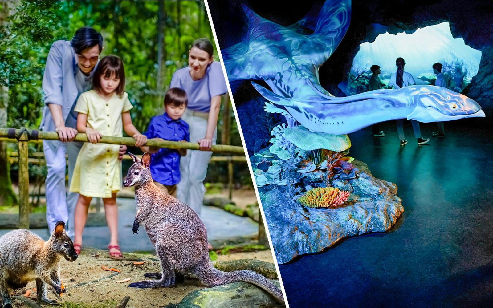 Combo: Night Safari + Gardens by the Bay Tickets