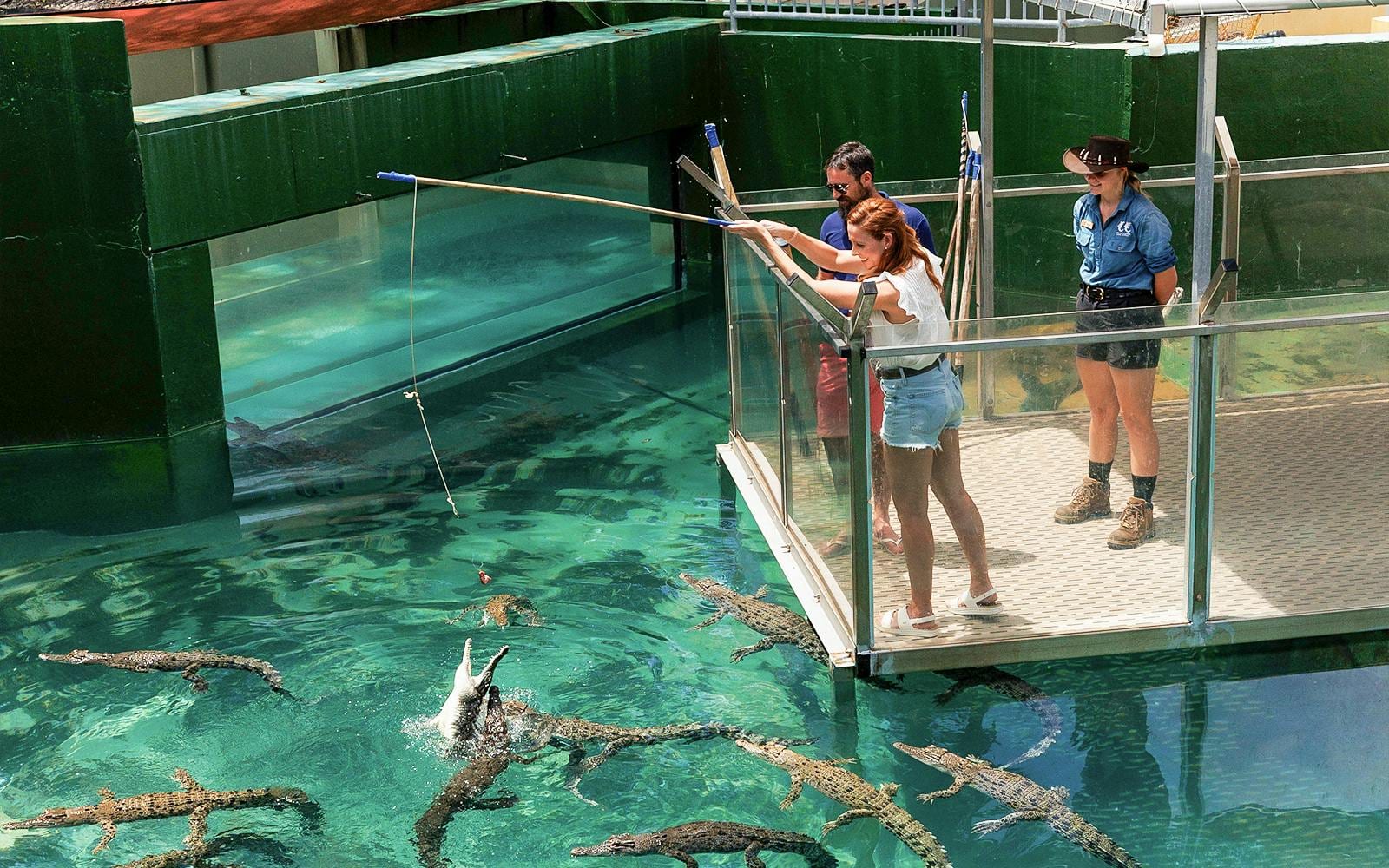 Crocosaurus Cove Tickets with VIP Tour