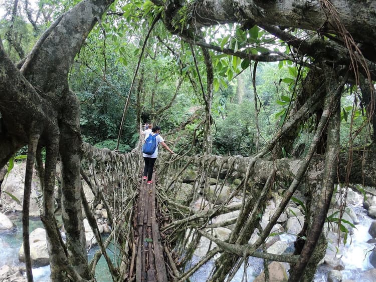 Mesmerizing Meghalaya